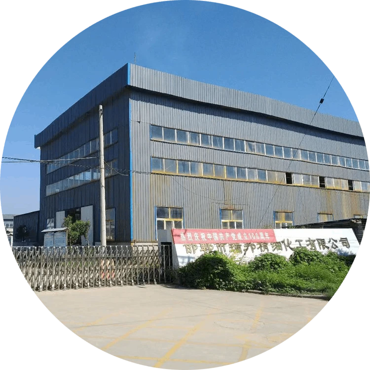 About Our Company